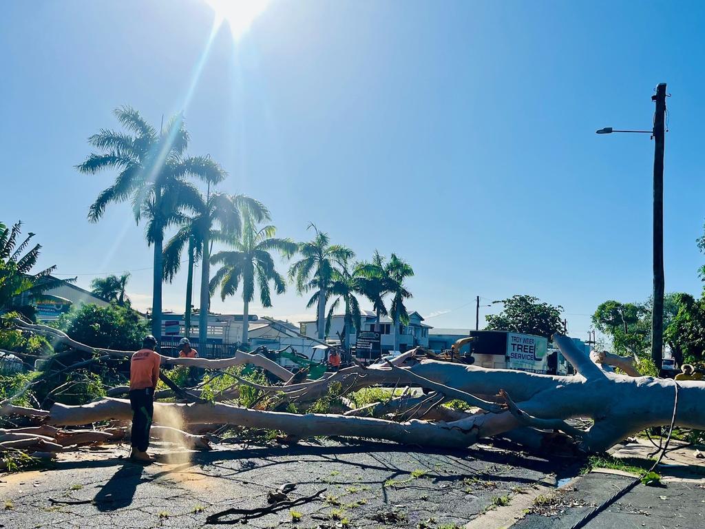 Ergon Energy crews working on a fallen tree in Bolsover Street, Rockhampton, after a storm caused damage to powerlines the night before, impacting more than 3500 customers in the Rockhampton region – mostly in the CBD and Allenstown.