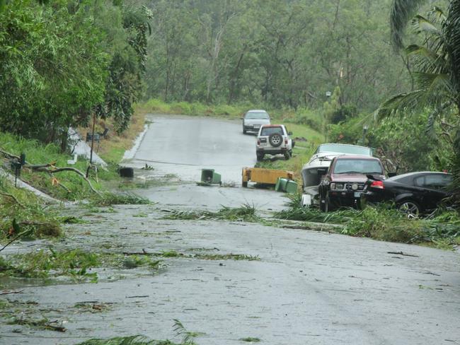 Cars are seen on a tree covered road at 1pm Tuesday March 28.