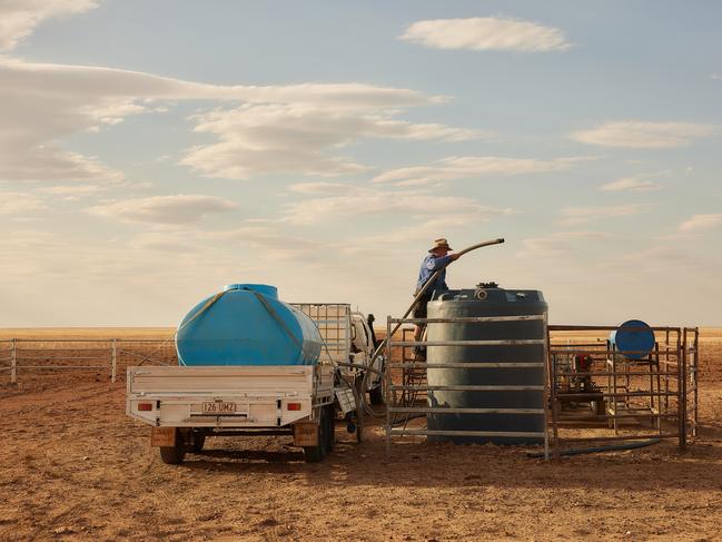 Supplements are added to a tank that sits next to a water trough and can be remotely controlled to release additives into the drinking water of stock. Picture: DIT AgTech