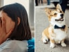My SIL refused to go to a wedding her dog wasn't invited to