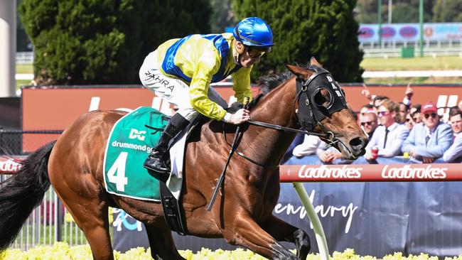 Apulia resumes in the Australian Guineas on Saturday. Picture: Reg Ryan/Racing Photos via Getty Images