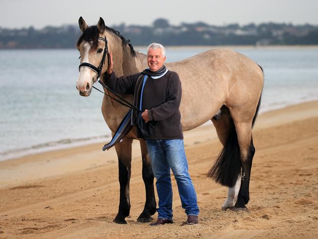 Almost 30 years after it was released, Daryl Braithwaite’s version of Horses continues to be popular. Picture: Alex Coppel