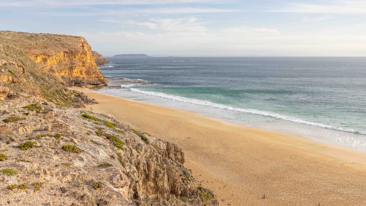 Teenage boy killed in shark attack off South Australia coast