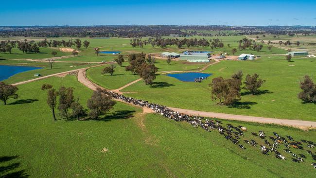 The Notman family’s Walcha Dairy is for sale for $25 million-plus