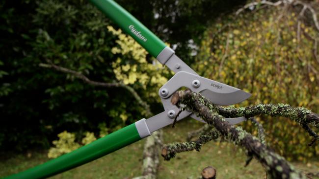 A big pair of loppers makes short work of branches and they can also chop up the old Christmas tree.