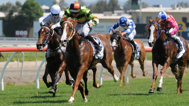 Starante will race in the Three-Year-Old Fillies Handicap (1200m) at the Gold Coast today. Photo: Trackside Photography.