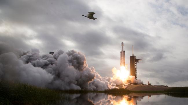 SpaceX has an ever-expanding network of travel and communications rockets. Picture AFP / NASA / Aubrey Gemignani