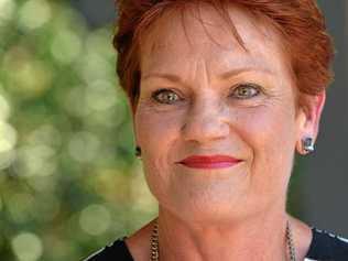 Pauline Hanson says Labor spreading lies about One Nation. Picture: Patrick Woods