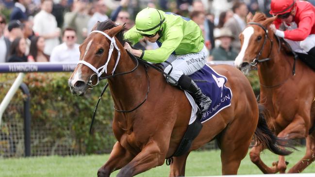 Stretan Angel will attempt to join the Group 1 winner’s ranks in Saturday’s Newmarket Handicap at Flemington. Picture: Racing Photos via Getty Images