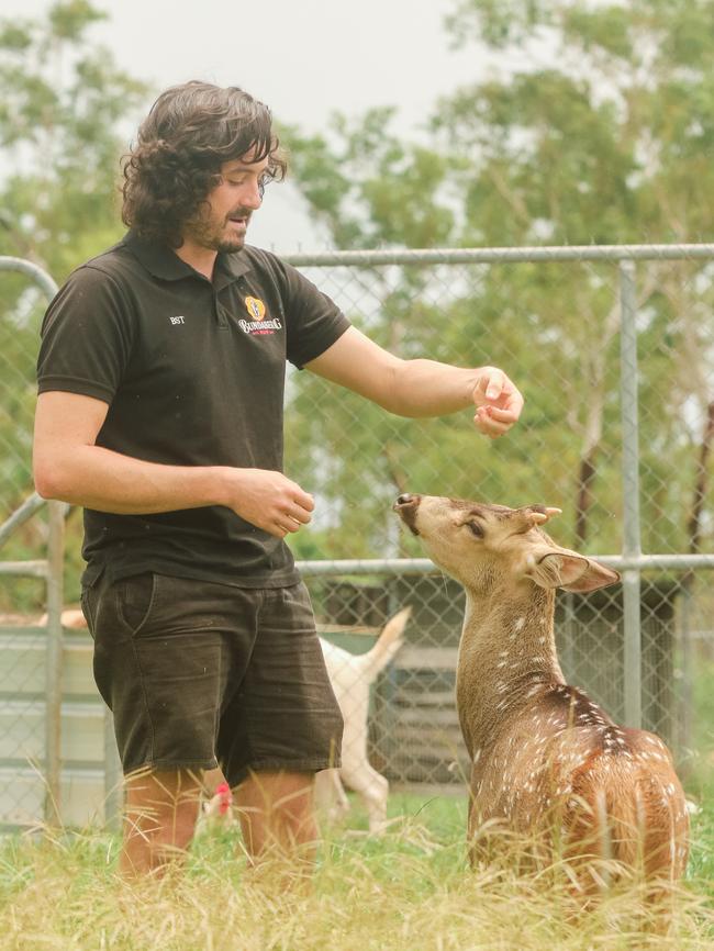 Dan Woodall and <a href="https://www.ntnews.com.au/news/northern-territory/a-dogs-tail-with-a-happy-ending-parap-pooch-found/news-story/1817ff890616cde7471f80442a00e8aa" target="_blank">Elliot the deer </a>at Berry Springs Tavern is well loved and looked after. Picture: Glenn Campbell