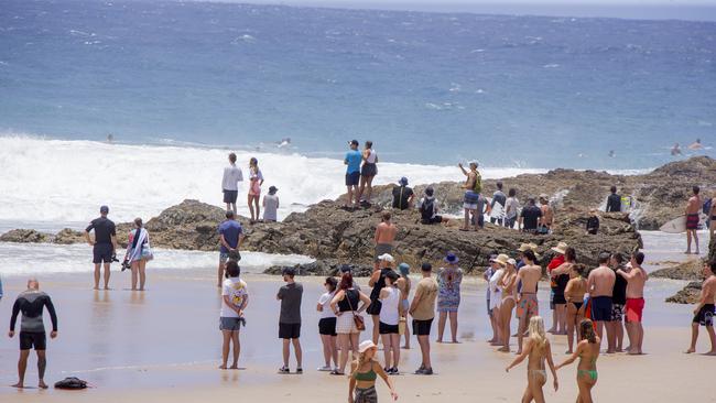 The crowds watching surfers at Snapper Rocks on Sunday 2 January 2022. Picture: Jerad Williams