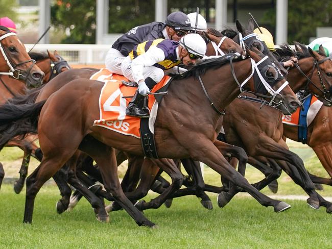 Daqiansweet Junior (NZ) ridden by Daniel Moor wins the Take It To The Neds Level Handicap at Caulfield Racecourse on December 26, 2021 in Caulfield, Australia. (Scott Barbour/Racing Photos via Getty Images)