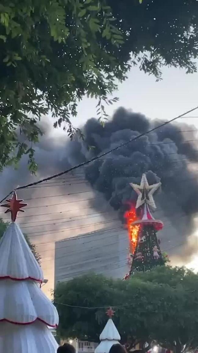 Christmas tree goes up in flames after lights are switched on