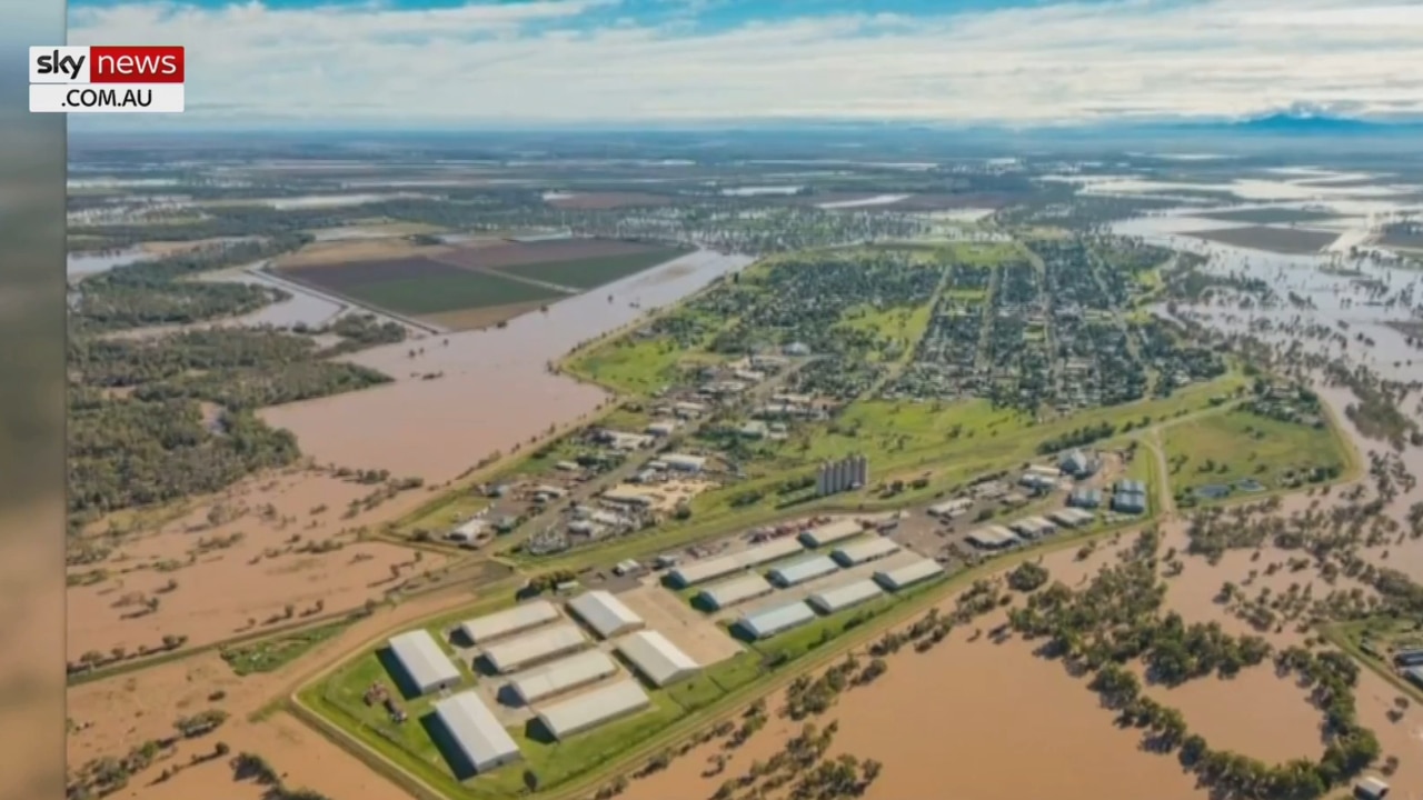 Crops damaged by heavy rain in New South Wales