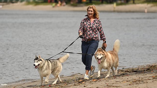 Fran Ward, who is considered the frontrunner to replace Andrew Laming, walks her dogs south of Brisbane on Sunday. Picture: Lyndon Mechielsen