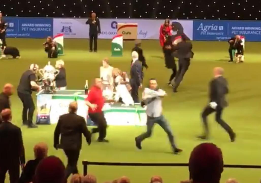 PETA Protesters Disrupt Crufts Dog Show Prize Ceremony