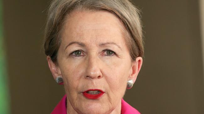 Minister for Youth Justice. Dianne Farmer has defended the government’s record on rehabilitating young offenders. Picture: NCA NewsWire/Glenn Campbell