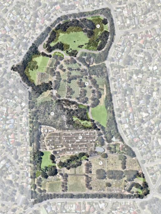 An image of the Frenchs Forest Bushland Cemetery showing undeveloped land at the top of the picture. Image: Supplied