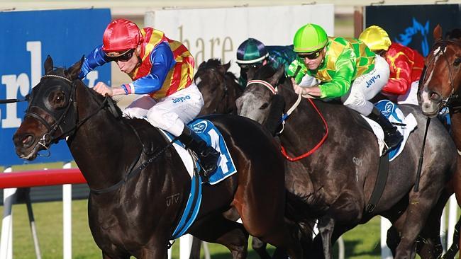 Taxmeifyoucan wins the Scone Guineas with Blake Shinn aboard.