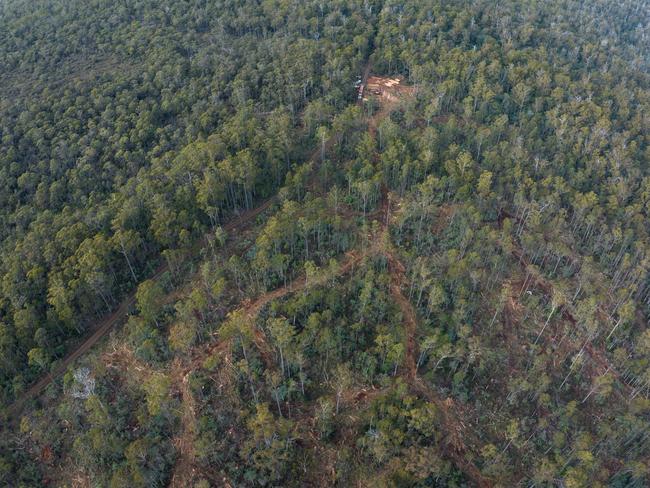 Logging activity act Eastern Tiers Forest Reserve, Tasmania.