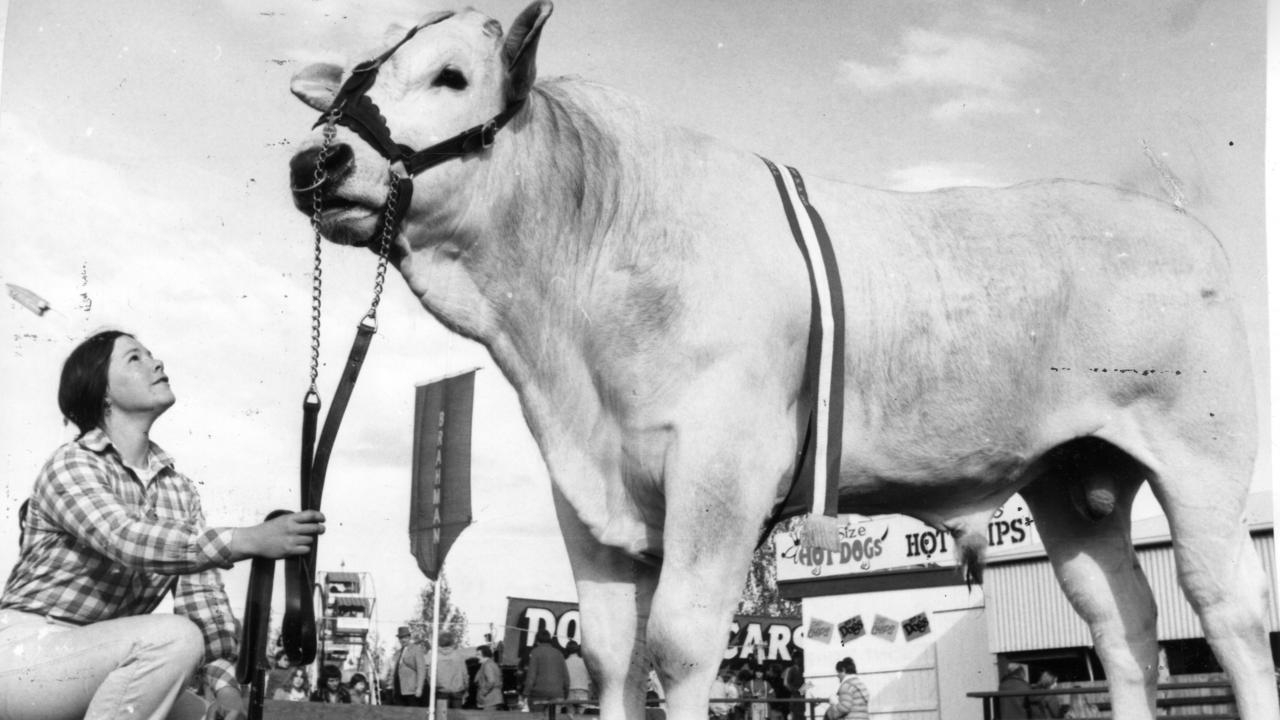 Magic memories of the Royal Adelaide Show.