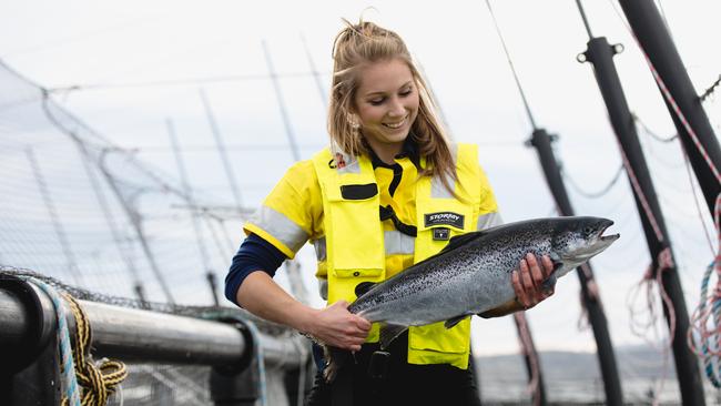 JBS, a Brazilian meat processing giant, will buy out the struggling Tasmanian salmon producer Huon Aquaculture at $3.85 per share.