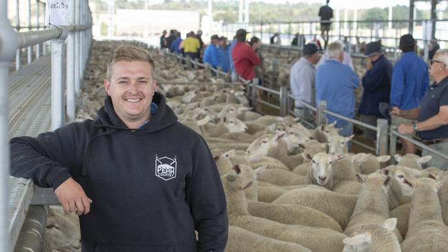 Jake Seers from Clear View Partners at Glengower sold first cross ewes for $270. Picture: Zoe Phillips