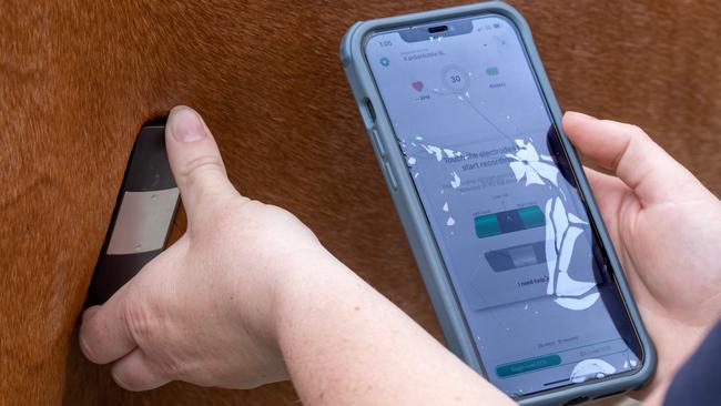 Swabbing attendant Paige Cartwright using the portable electrocardiogram. Picture: Jay Town