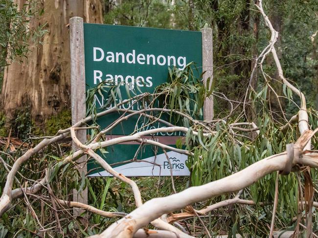 Recent storms ravaged the Dandenong Ranges region. Picture: Jason Edwards