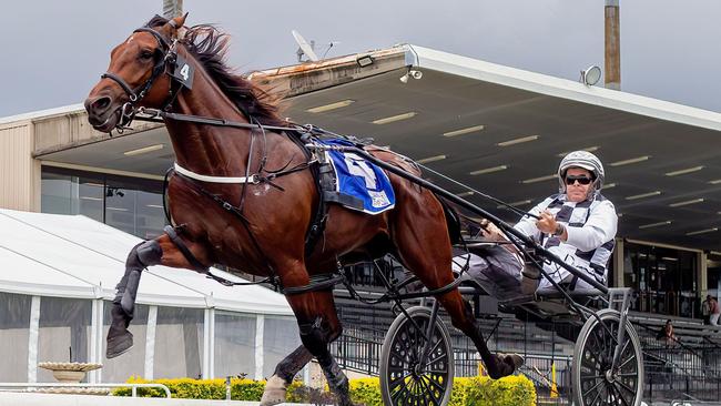 Leap To Fame ranks alongside Queensland’s equine greats. Picture: Dan Costello