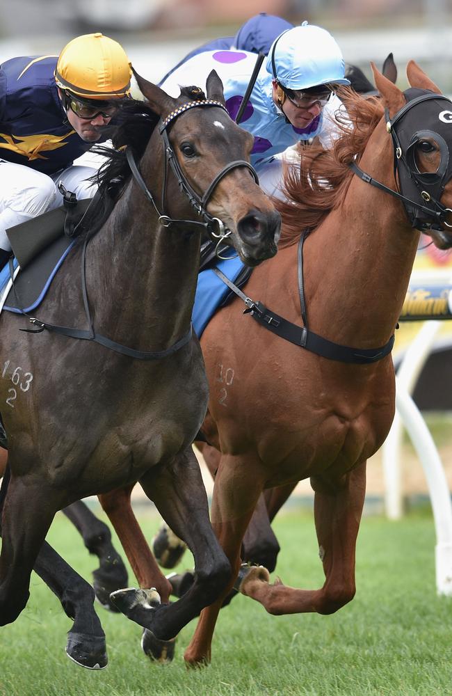 Caulfield Guineas prelude bound: Steven Arnold combines with Alaskan Rose (left) to win the second race at Caulfield. Picture: Getty Images