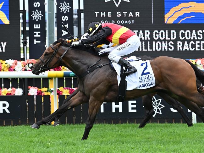 Liam Birchley-trained Amosu wins the $500,000 The Debut on Gold Coast Magic Millions day, under jockey Nikita Beriman. Picture: Grant Peters, Trackside Photography