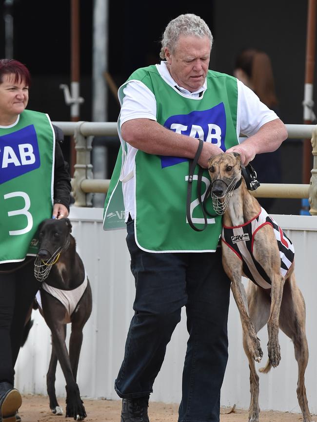 Greyhound handlers at Broadmedows. Picture: Jay Town