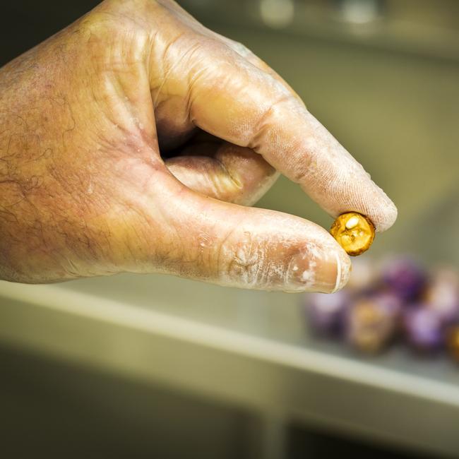 The Australian Plantbank NSW Seed Vault.