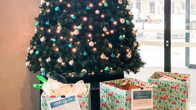 The NT Health Department has spent more than $5000 to lease a Christmas tree