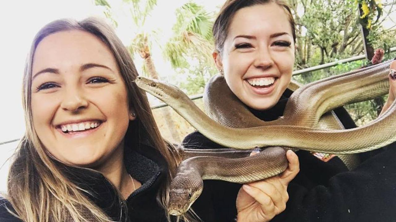 Wild Life Sydney Zoo has 81% female zookeepers: International Women’s ...