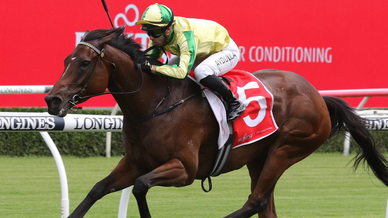 Banana Queen can continue terrific form with another win at Randwick on Saturday. Picture: Grant Guy