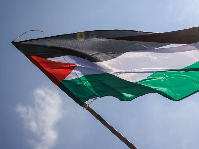Palestine Flag. Picture: Supplied