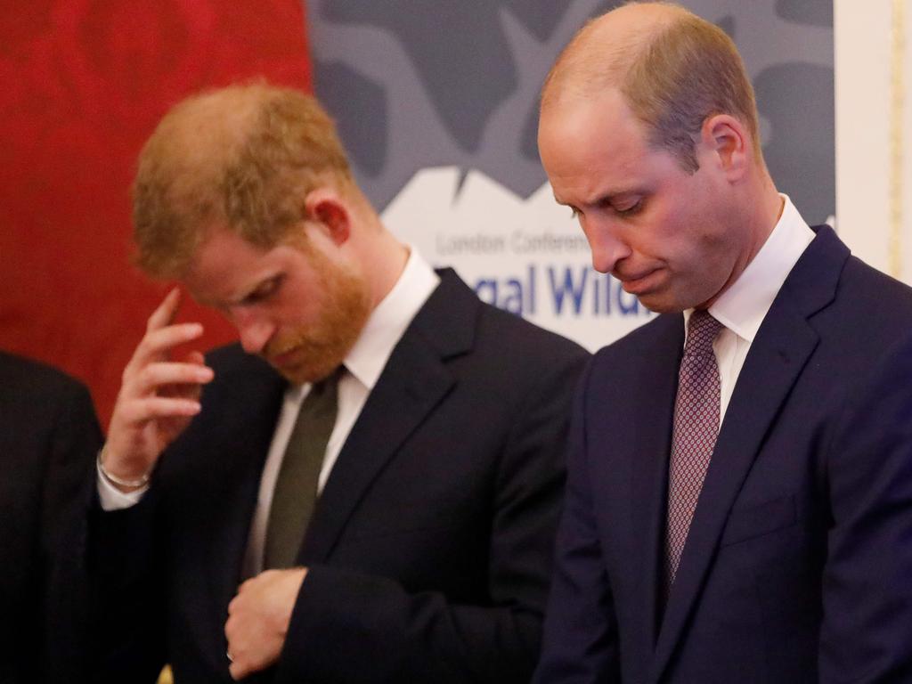 Prince Harry and Prince William no longer speak as much as they used to, Prince Harry told a documentary in southern Africa. Picture: Tolga AKMEN / various sources / AFP.