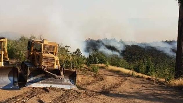 Harvest and haulage contractors' bulldozers used to fight fires around Thomson Valley dam