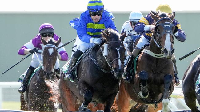 Bazini on his way to winning a maiden hurdle at Warrnambool on Tuesday. Picture: George Sal/Racing Photos via Getty Images