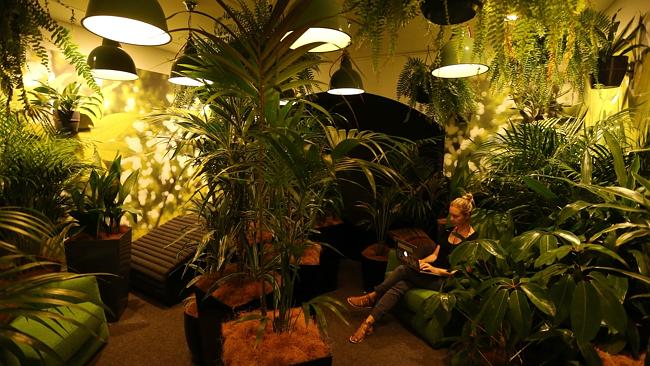 A staffer working in the forest room at the Google offices.