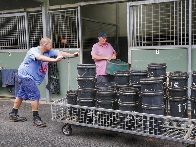 No shortage of work for Lee Freedman at his Flemington base. Picture: Colleen Petch