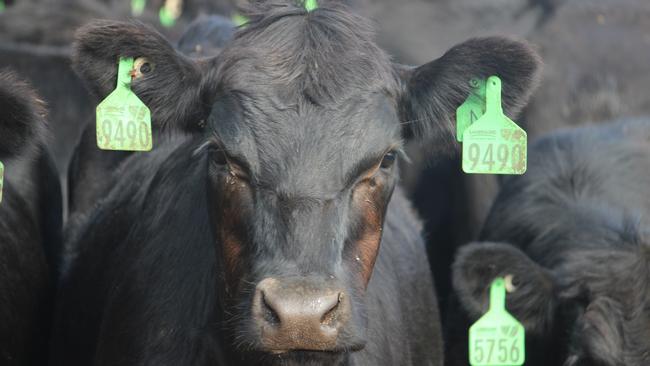 Chinese authorities have black-listed seven Australian beef processing facilities and two sheep meat processing facilities.