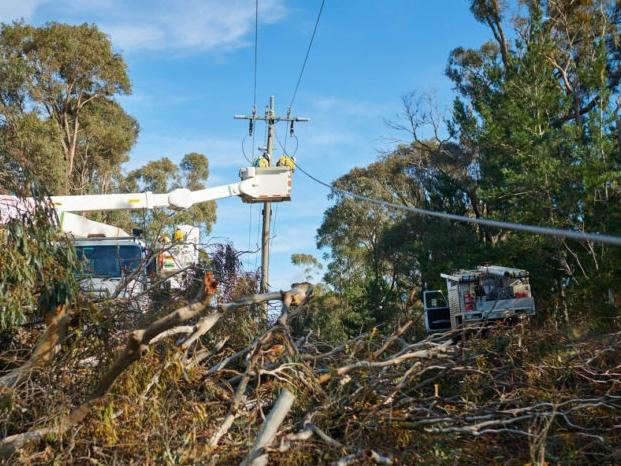 The accident in Gellibrand, where it's understood the car hit a power pole, has left more than 1200 people without electricity. Photo: Supplied.