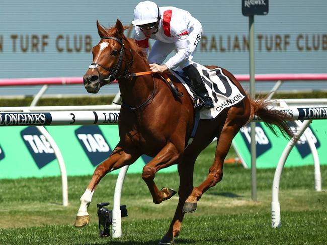 SYDNEY, AUSTRALIA - OCTOBER 14: Tyler Schiller riding Land Legend wnis Race 1 Moet & Chandon St Leger Stakes during Sydney Racing - TAB Everest Day at Royal Randwick Racecourse on October 14, 2023 in Sydney, Australia. (Photo by Jeremy Ng/Getty Images)