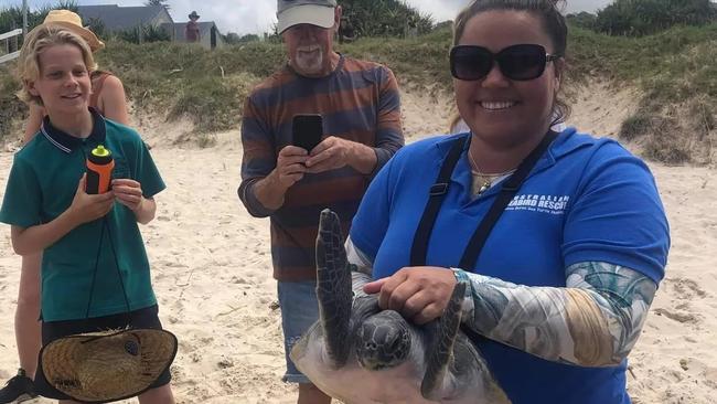 Sea animal lover recognised with Tweed’s top honour