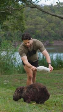 Aussie man quits his job to save wombats