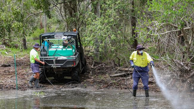 Biosecurity officers treat a mosquito breeding area after the heavy rains in February 2020.
