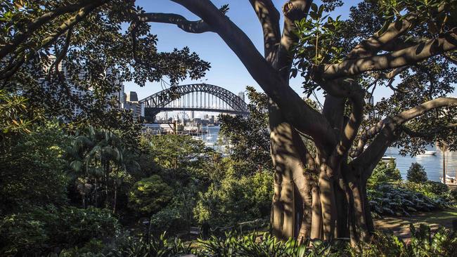 Wendy’s Secret Garden in Lavender Bay, Sydney. Picture: Robert Polmear